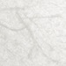 Rice Paper