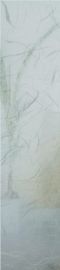 Rice Paper