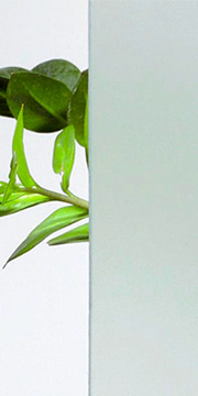 Standard Glass Option - Translucent