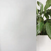 Glazing Translucent Laminate